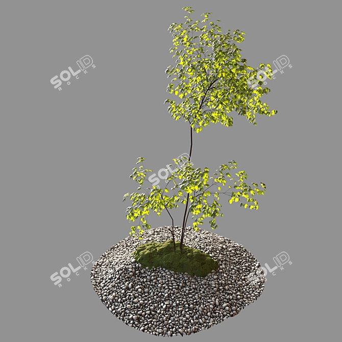 Nature-Inspired Outdoor Architecture 3D model image 4