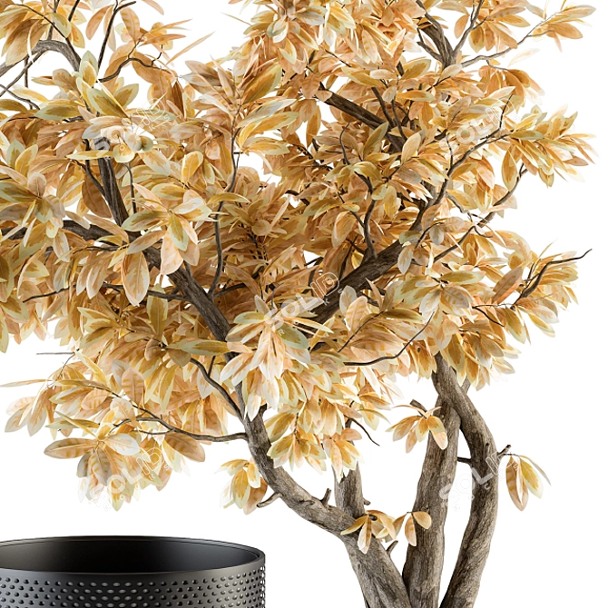 Title: Autumn Branch Bouquet in Black Vase 3D model image 2