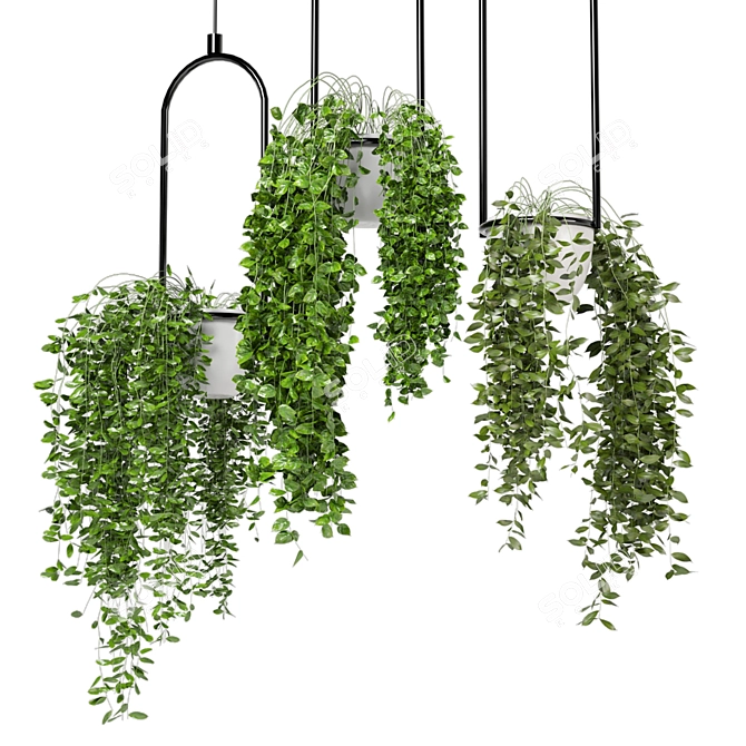 Indoor Hanging Plants Set - 180 Varieties 3D model image 3