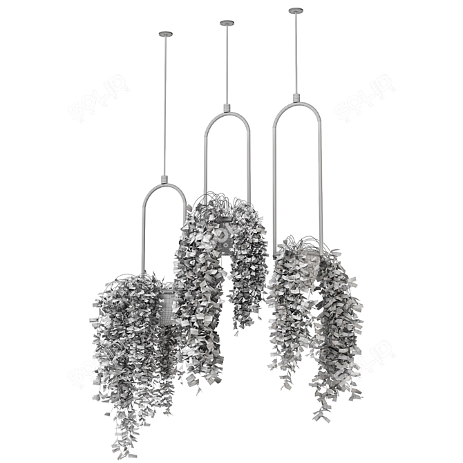 Indoor Hanging Plants Set - 180 Varieties 3D model image 5