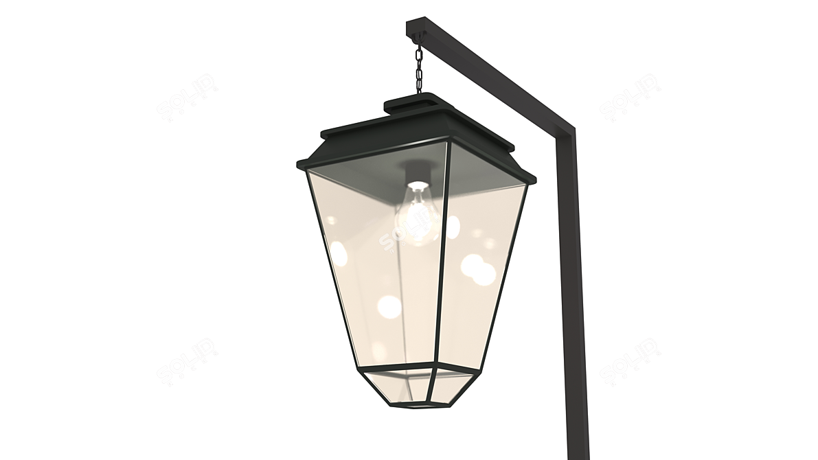 Designer Outdoor Street Lamp 3D model image 1