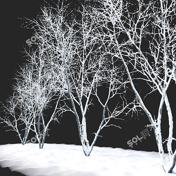 Autumn American Beech Tree - 3D Model 3D model image 3