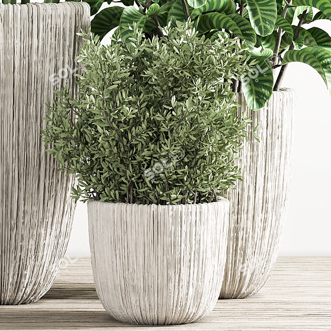 Indoor Plant Collection: Aesthetic and Versatile 3D model image 4