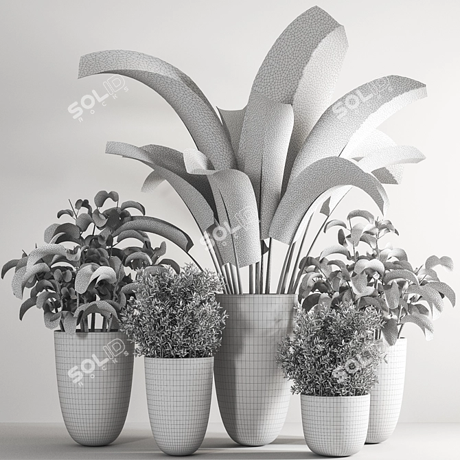 Indoor Plant Collection: Aesthetic and Versatile 3D model image 6