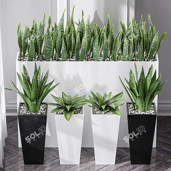 Sanseveria Snake Plant: Office Partition Air Purifier 3D model image 2