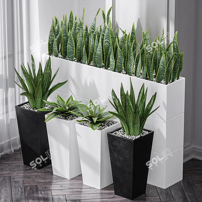 Sanseveria Snake Plant: Office Partition Air Purifier 3D model image 3