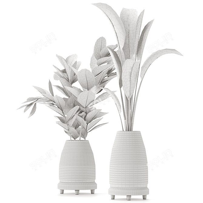 Ficus and Banana Indoor Plant Set 3D model image 5