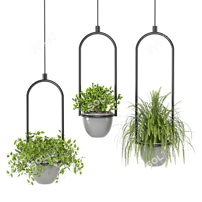 Hanging Plants Set for Indoor Décor 3D model image 4