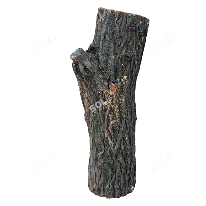Natural Wood Trunk 3D model image 1