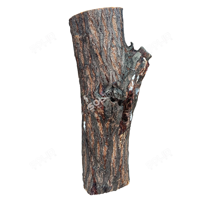 Natural Wood Trunk 3D model image 3