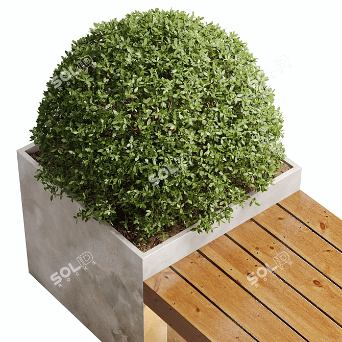 2015 Outdoor Plant Set: V-Ray & Corona 3D model image 2