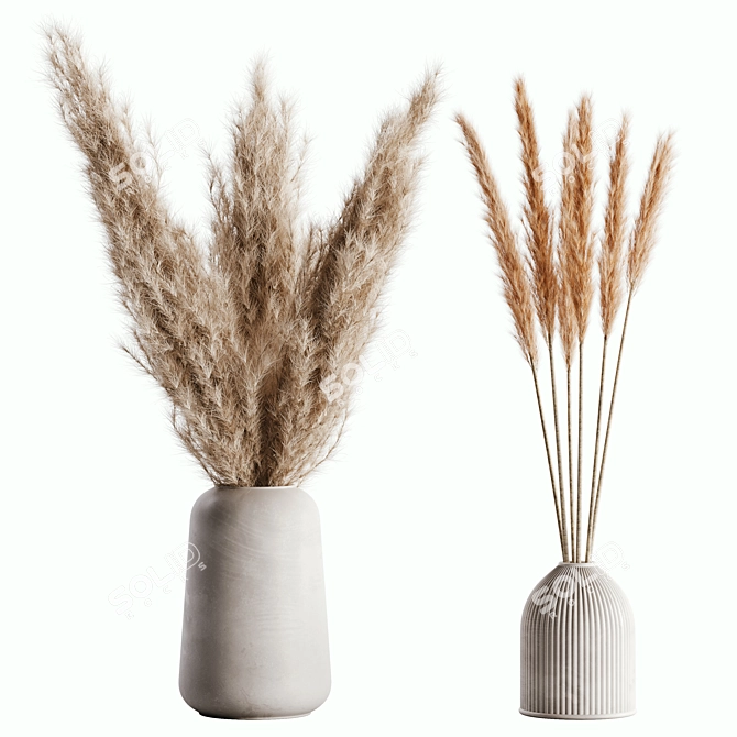 Elegant Pampas Set for Rendering 3D model image 1