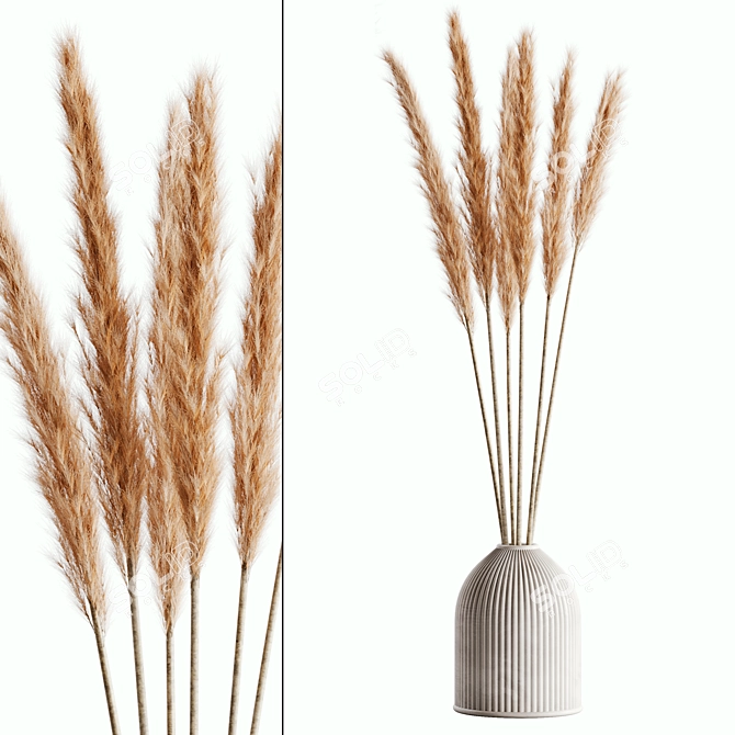 Elegant Pampas Set for Rendering 3D model image 3