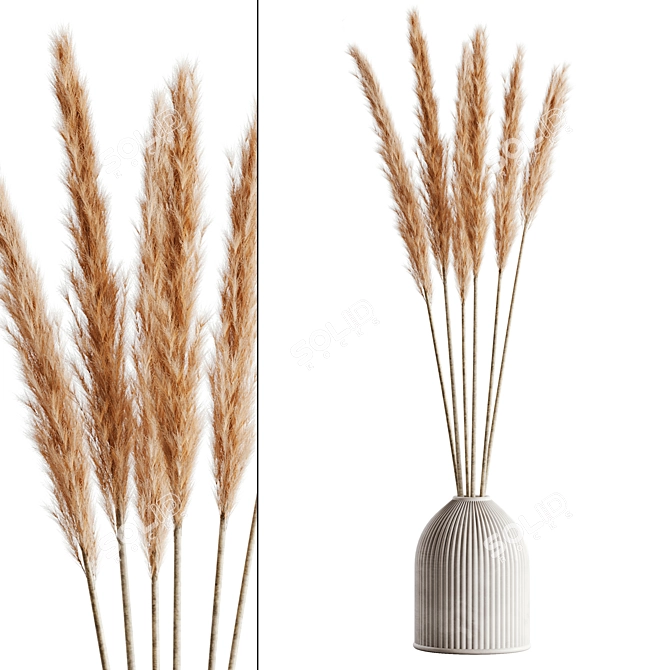 Elegant Pampas Set for Rendering 3D model image 7