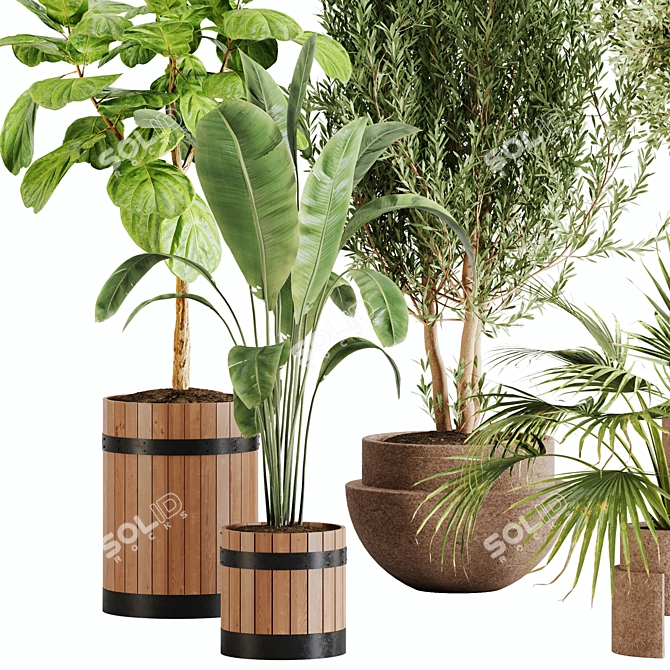 Lush Greenery Indoor Plant Set 3D model image 2