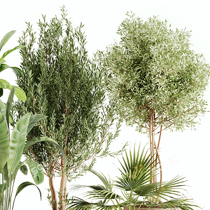 Lush Greenery Indoor Plant Set 3D model image 5