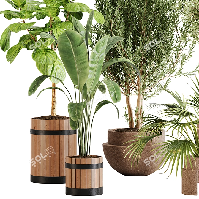 Lush Greenery Indoor Plant Set 3D model image 8