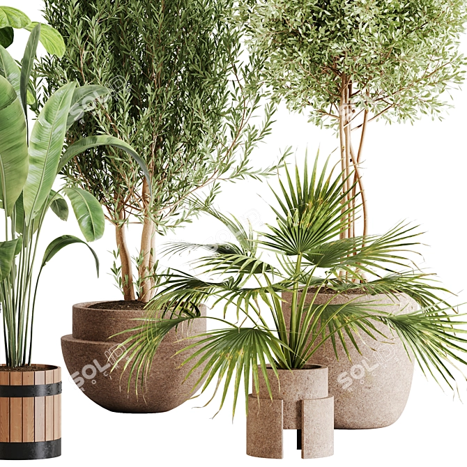 Lush Greenery Indoor Plant Set 3D model image 9