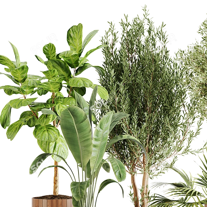 Lush Greenery Indoor Plant Set 3D model image 10