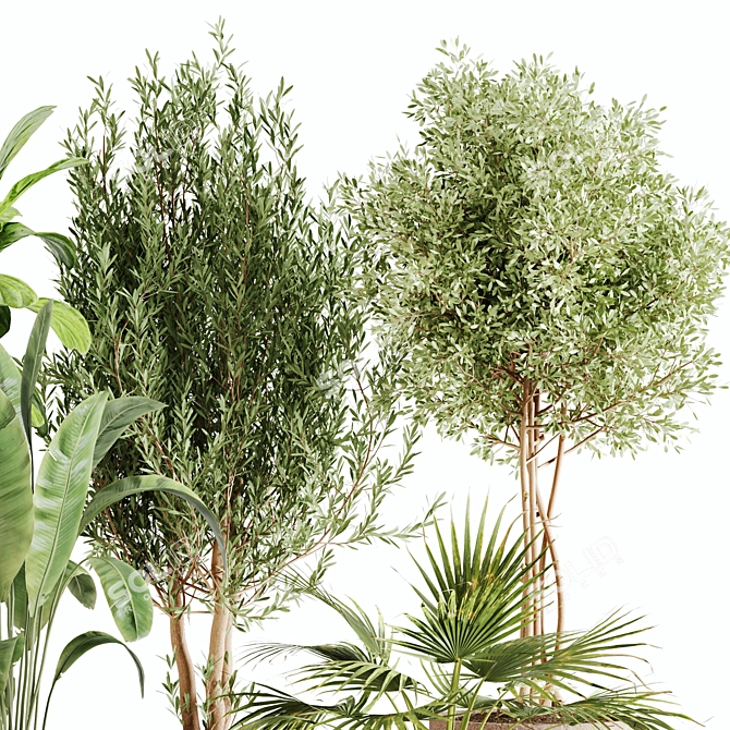 Lush Greenery Indoor Plant Set 3D model image 11