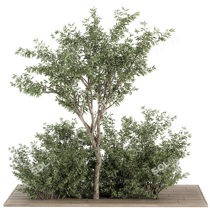 Elegant Olive Garden Set 3D model image 1