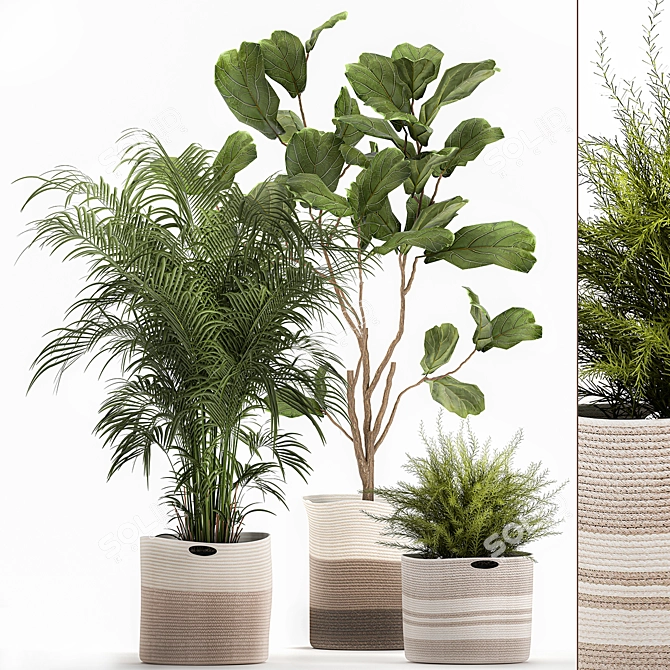 Decorative Plant Collection: Exotic Indoor Plants 3D model image 1