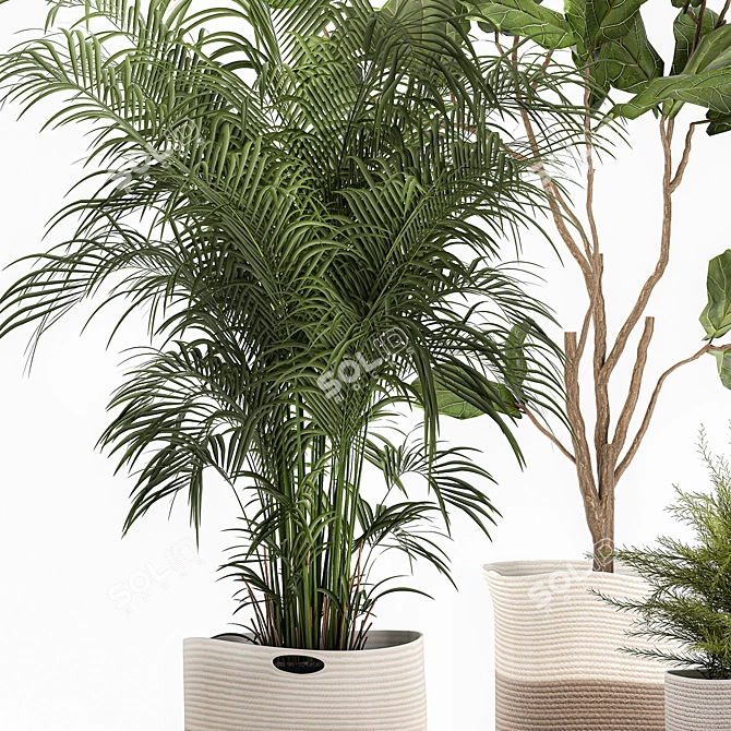Decorative Plant Collection: Exotic Indoor Plants 3D model image 5