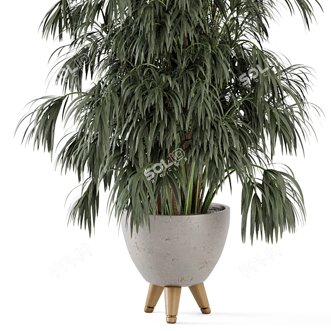 Rustic Concrete Pot with Indoor Plants 3D model image 3