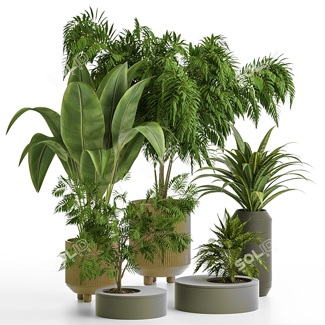 Modern Indoor Plant Vol 30: Stylish & Versatile 3D model image 1