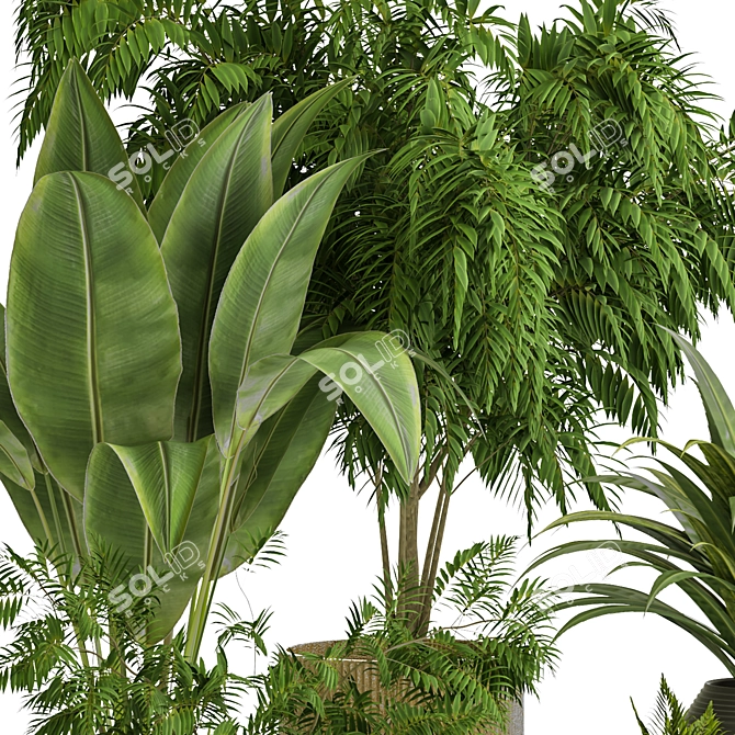 Modern Indoor Plant Vol 30: Stylish & Versatile 3D model image 3