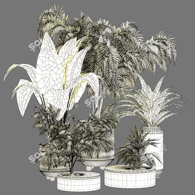 Modern Indoor Plant Vol 30: Stylish & Versatile 3D model image 4