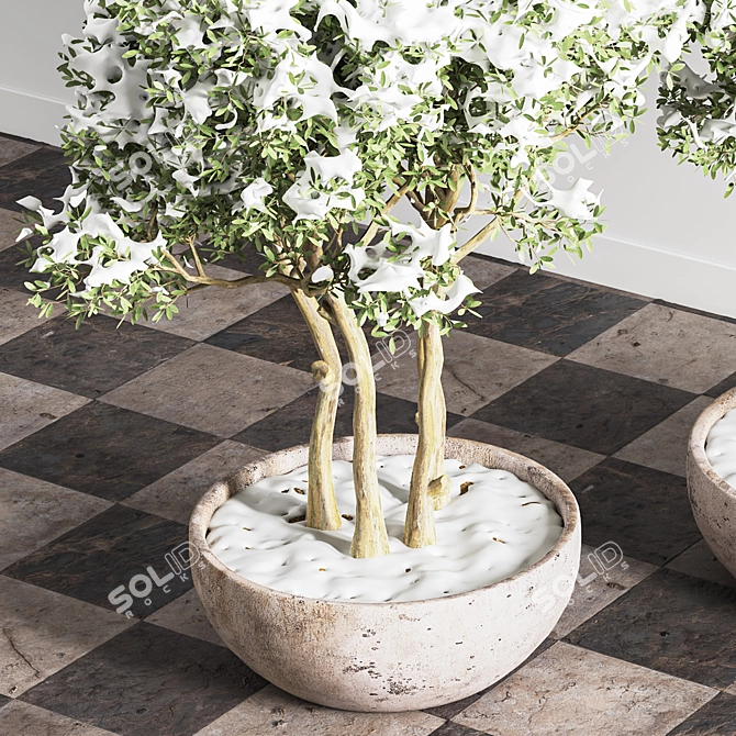 Snowy Outdoor Plant Set 3D model image 3