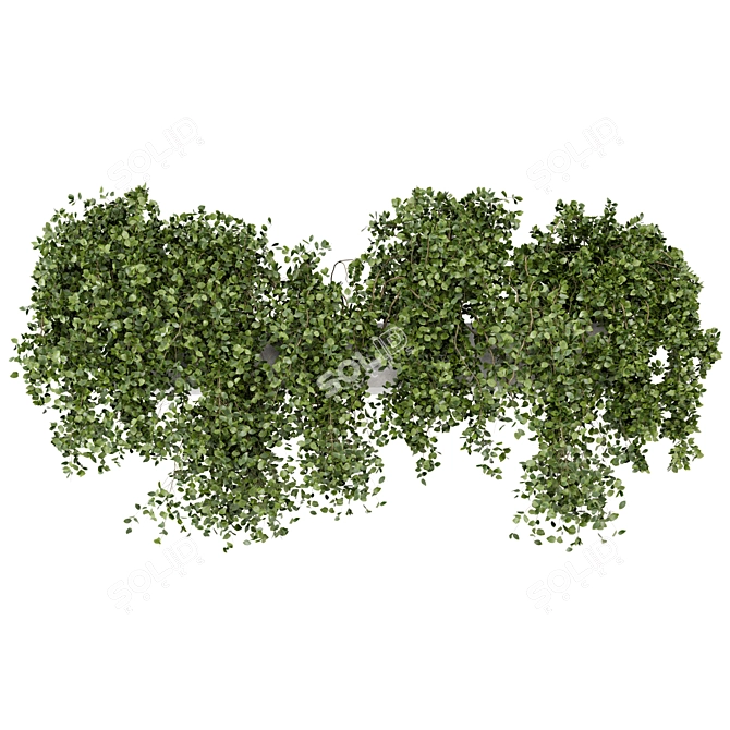 Rustic Hanging Plants in Concrete Pot 3D model image 6