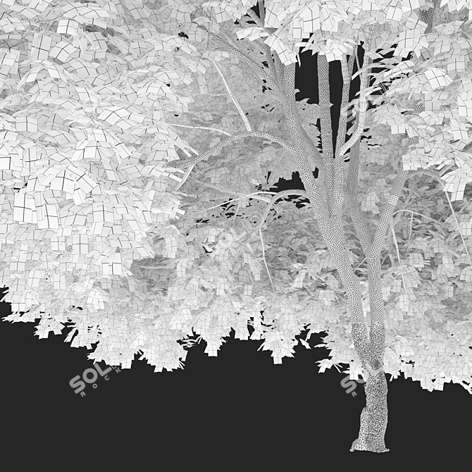 Premium Pecan Tree: Lifelike, Versatile 3D model image 5