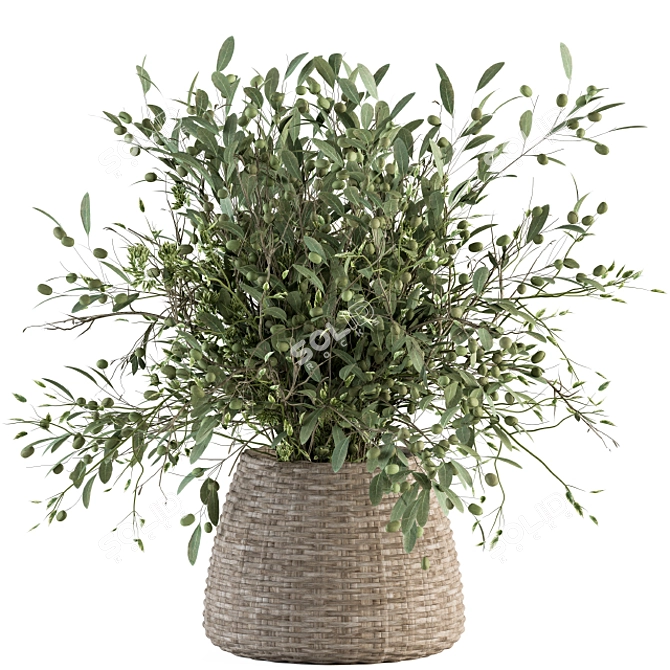 Olive Oasis: Indoor Plant Set 3D model image 1