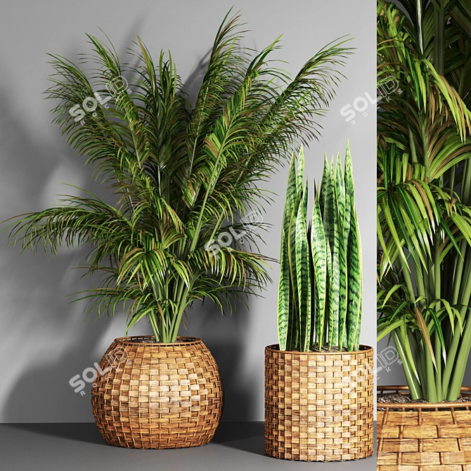 20 Indoor Plant Collection 3D model image 3