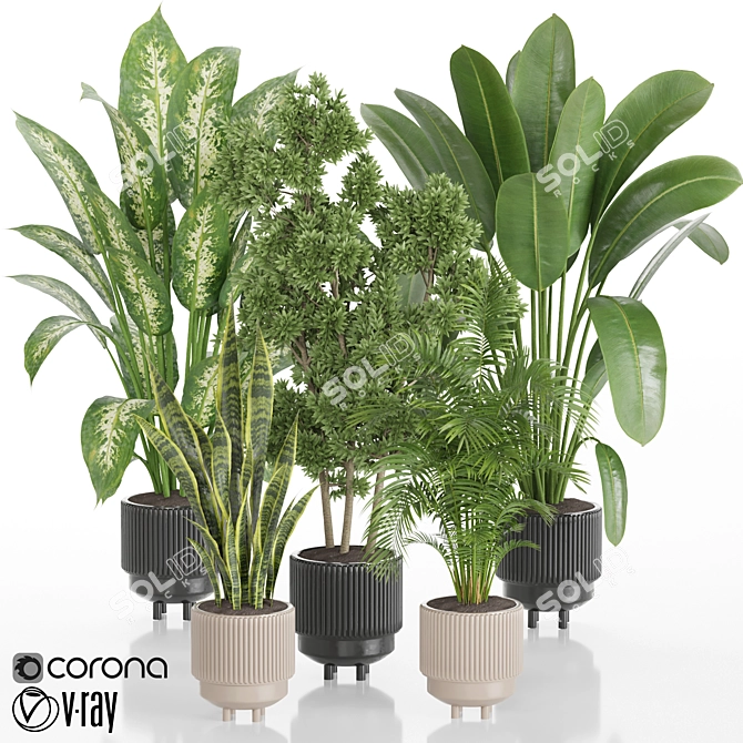 Tropical Plant Set: Ornamental Exotics for Indoor & Outdoor Use 3D model image 1