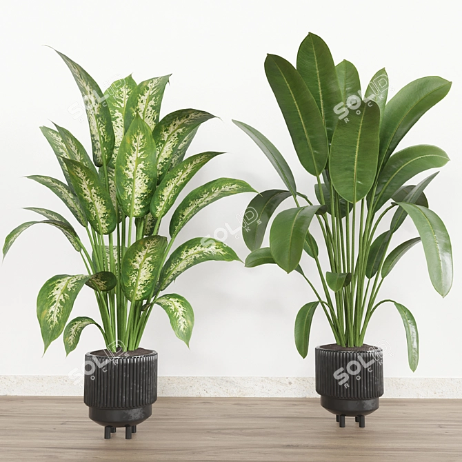 Tropical Plant Set: Ornamental Exotics for Indoor & Outdoor Use 3D model image 2