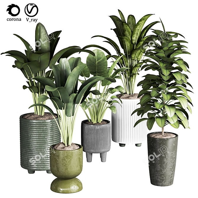 Indoor Plant Collection: 22 Varieties 3D model image 1