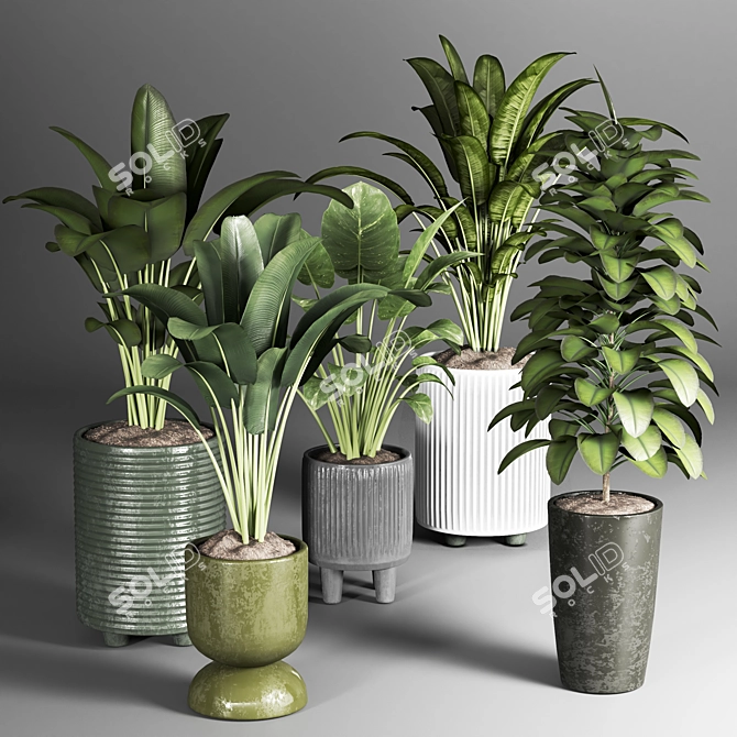 Indoor Plant Collection: 22 Varieties 3D model image 2