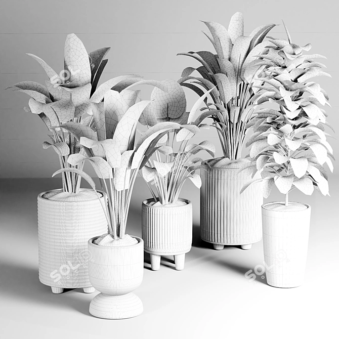 Indoor Plant Collection: 22 Varieties 3D model image 5