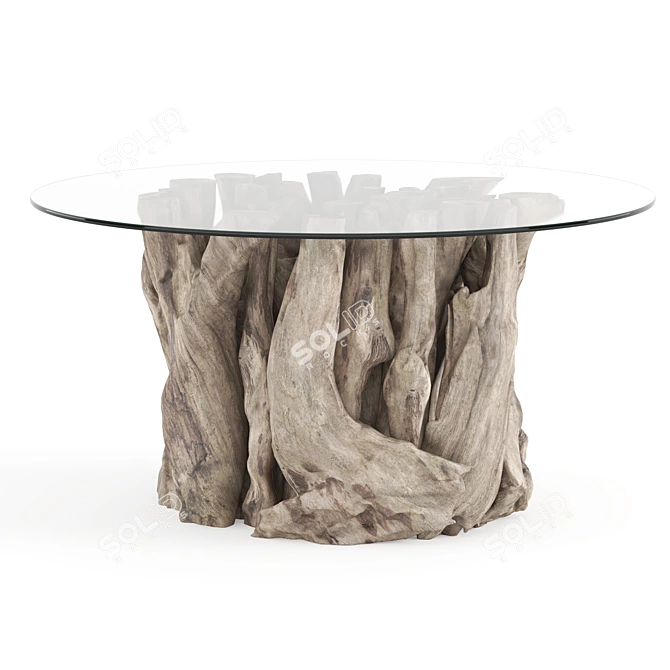 Natural Driftwood Coffee Table 3D model image 1