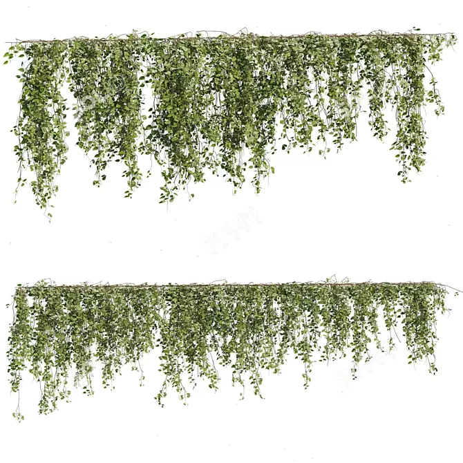 Evergreen Ivy Collection: Premium Quality 3D model image 1