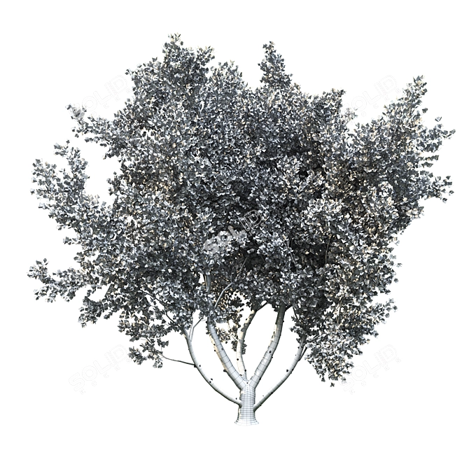 Corona Render Tree: High Poly, Stunning Landscape 3D model image 4
