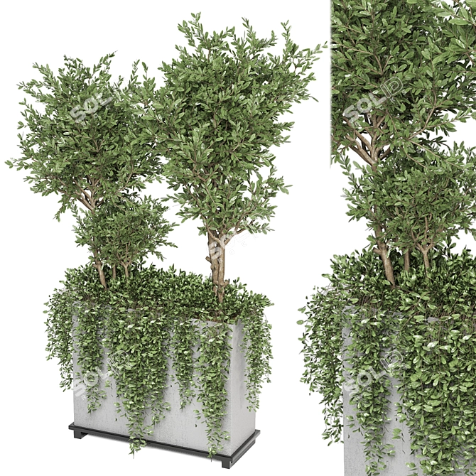 Lush Outdoor Plants - Set 186 3D model image 2