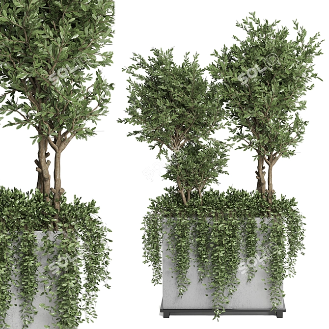 Lush Outdoor Plants - Set 186 3D model image 3