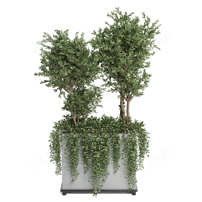 Lush Outdoor Plants - Set 186 3D model image 5