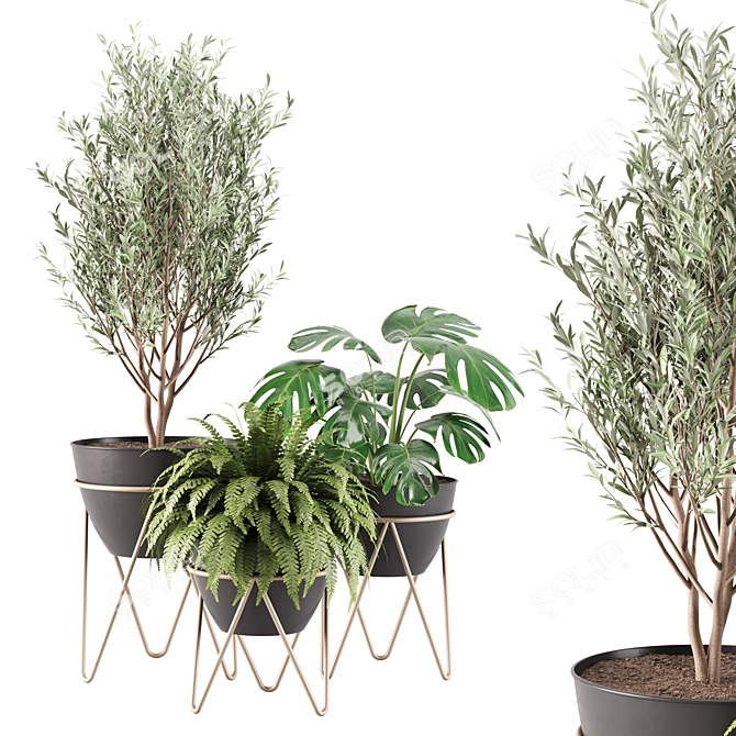 Greenery Bloom: Indoor Plants Set 3D model image 1