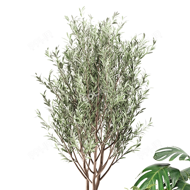 Greenery Bloom: Indoor Plants Set 3D model image 2