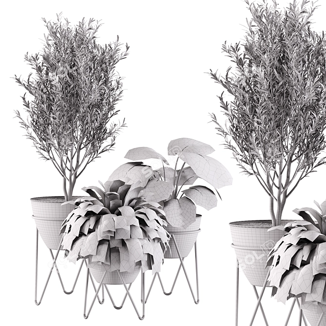 Greenery Bloom: Indoor Plants Set 3D model image 4